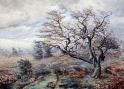 Rodgers, 1890 watercolour study of a tree 50 x 72cm.