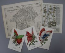An Owen and Bowen road map, other maps and satirical 'butterfly' postcards