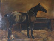 English School circa 1900 oil on canvas, horse in a stable 51 x 69cm. unframed