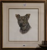 Alexandra McMaster, watercolour, study of a Bull Terrier, signed and dated 1996, 38 x 33cm