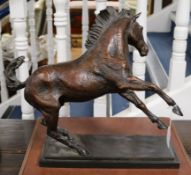 A bronze stallion, 20th century width 37cm height 40cm