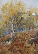 A. Keene, watercolour, Autumnal Forest, signed, 37 x 26cm.