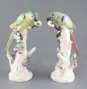 A rare pair of Naples Real Fabbrica porcelain figures of parrots on fruiting branches, early 19th