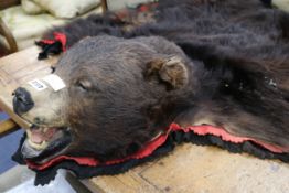 A bear skin rug