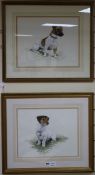 Alexandra McMaster, two watercolours, studies of Jack Russell Terriers, signed and dated 1988/