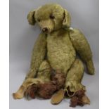 A large early English mohair teddy bear approx. 64cm