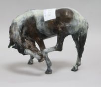 Belinda Sillers. A cold painted bronze figure of a horse scratching, no. 11/24 height 14cm