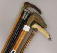 Four walking sticks