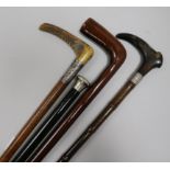 Three walking sticks and a riding crop