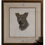 Alexandra McMaster, watercolour, study of a Bull Terrier, signed and dated 1996, 38 x 33cm