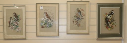 M Sherborne, four watercolour and gouache, ornithological studies, signed, 36 x 23cm