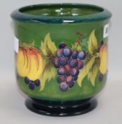 A Moorcroft 'Fruit and Vine' jardiniere height 7cm