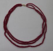 A multi strand graduated ruby bead necklace, with 14ct gold clasp, 44cm.