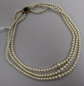 A triple strand graduated cultured pearl necklace with yellow metal and garnet set clasp, 38cm.