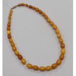 A single strand amber bead necklace, gross 21 grams, 44cm.