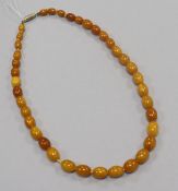 A single strand amber bead necklace, gross 21 grams, 44cm.