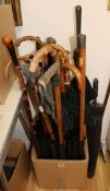 A collection of walking sticks 96cm
