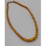 A single strand graduated amber bead necklace, gross 21 grams, 50cm