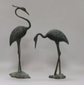 A pair of 19th century Chinese bronze models of cranes H.34cm.