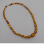 A single strand amber bead necklace, gross 39 grams, 56cm.