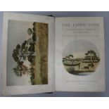 Drummond, W.H. - The Large Game and Natural History of South and South East Africa, green morocco,