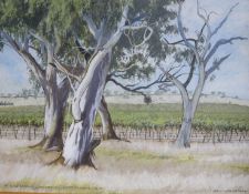 Bill Walls, oil on canvas, Lindeman's Vineyard Padthaway, South Africa, signed and dated 2000, 34