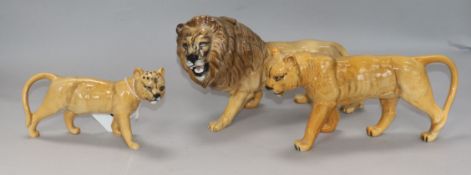 A collection of Beswick Lions: Lion 2089, Lioness facing left 1507, Lion cub 1508