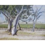 Bill Walls, oil on canvas, Lindeman's Vineyard Padthaway, South Australia, signed and dated 2000, 34