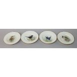 A set of four Royal Worcester bird plated plates by W Powell