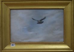 George Edward Lodge (1860-1954), watercolour, Kestrel in flight, Rembrandt Gallery Exhibition