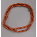 A single strand coral bead necklace, 64cm.