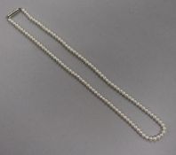 A single strand cultured pearl necklace with white metal clasp, 42cm.