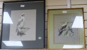 John Haywood (1936-1991), two watercolours, Snowy Eagle and Golden Oriole, signed, 34 x 27cm and