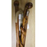 A silver topped horn and other walking sticks