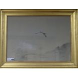 George Edward Lodge (1860-1954), watercolour, Greenland Falcon, Norway, signed, Rembrandt Gallery