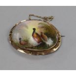 A yellow metal mounted Royal Worcester style porcelain brooch, decorated with pheasants, 55mm.