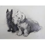 Cecil Aldin (1870-1933) ink on ivorine, Black and white terriers, signed, 14.5 x 19.5cm. unframed