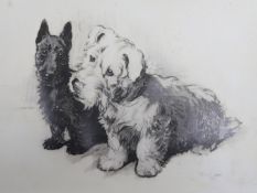 Cecil Aldin (1870-1933) ink on ivorine, Black and white terriers, signed, 14.5 x 19.5cm. unframed