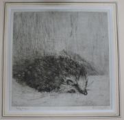 E. Mordaunt, etching, a hedgehog 'Polyanna'