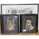 A Roberto Pye engraving Collegium Wadhamense, 38 x 38cm and four monochrome pictures of cats and