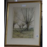 Henry George Moon (1857-1903), watercolour, Coppiced trees, signed and dated 1883 and a framed