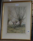 Henry George Moon (1857-1903), watercolour, Coppiced trees, signed and dated 1883 and a framed