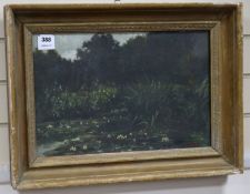 Homerville Hague, oil on canvas, Lily pond, signed, 30 x 45cm