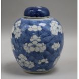 A Chinese blue and white jar, 18th/19th century