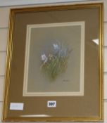 Gordon Benningfield, watercolour, 'Chalkhill Blue Butterflies', signed, Morland Gallery label verso,