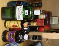 Fourteen assorted spirits including Gordons Gin