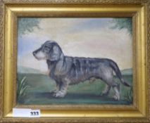 English School, oil on canvas, Naive study of a long haired daschund, 24 x 32cm