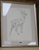 Charles Tunnicliffe (1901-1979), pencil drawing, Stag sniffing breeze, Abbott & Holder label