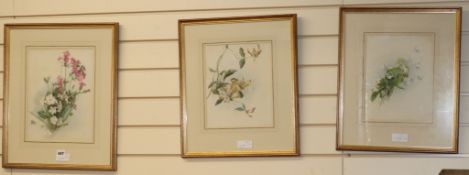 20th century English School, three watercolours, floral studies