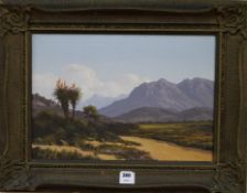 Johan Greett, oil on canvas, South African landscape, signed, 35 x 50cm